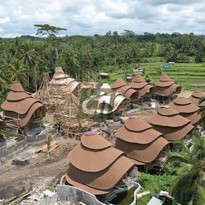 CTI 3 Tab Shingle